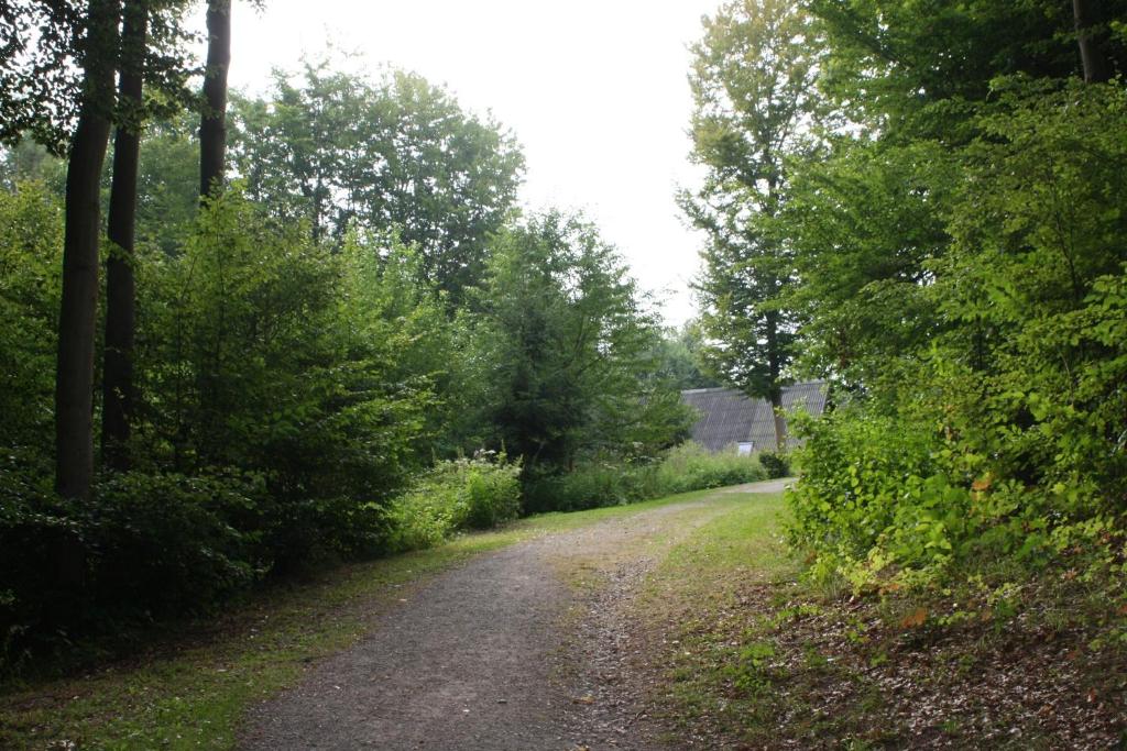 Bungalow; Haus 111 Ferienpark Twistesee, Bad Arolsen - Casa De Tres Dormitorios
