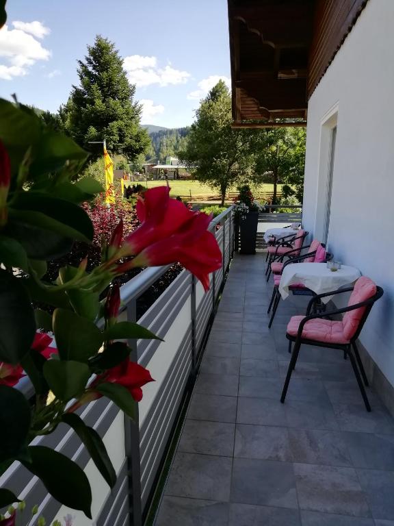 Zahrada ubytování Pension Strauss