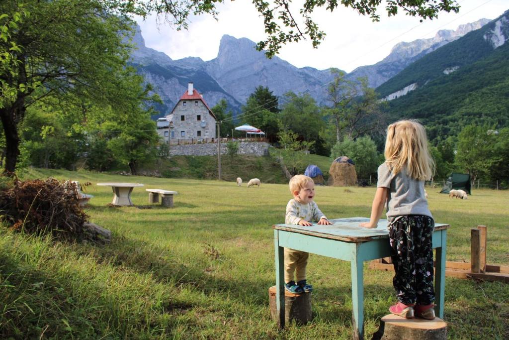 Une petite fille et un petit garçon debout à une table dans l'établissement Molla Guest House, à Theth