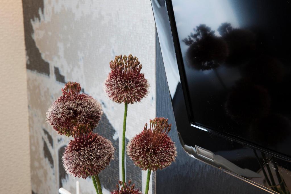 Hôtel A La Villa des Artistes - Resim 26