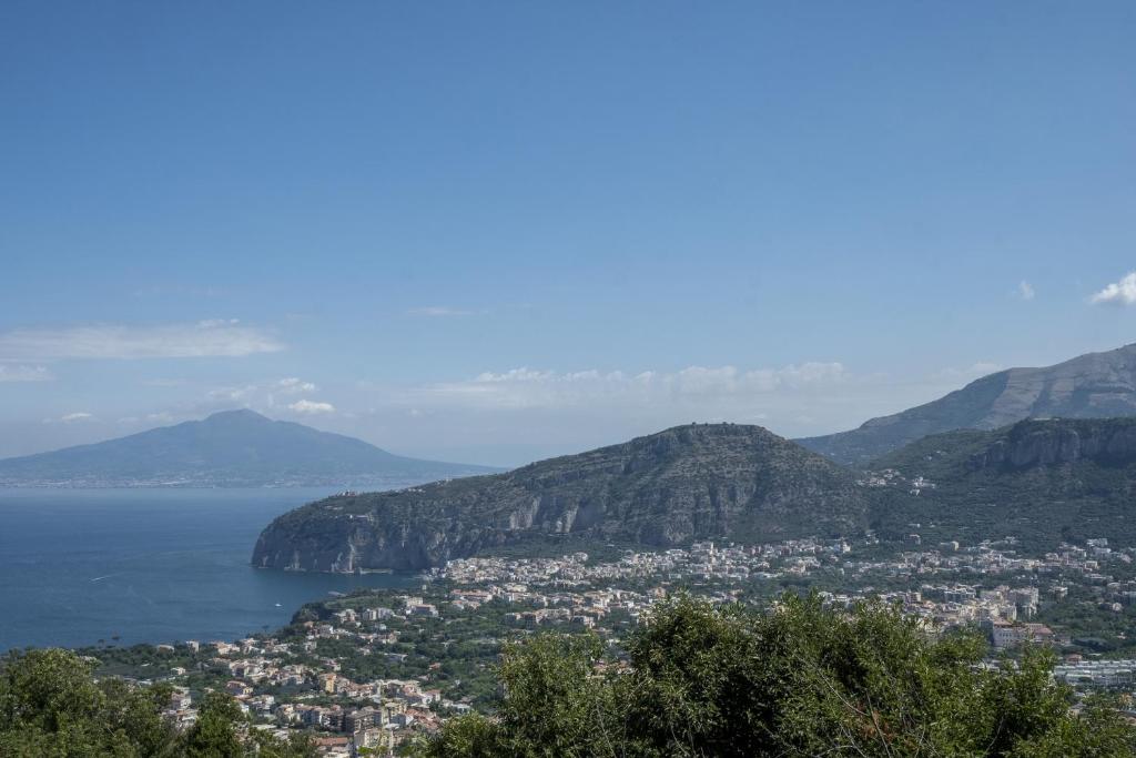 Villa Monica B&B - 18