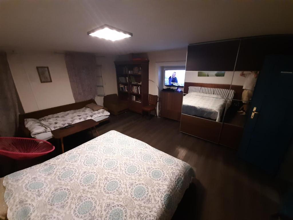 a room with a bedroom with a bed and a window at Dogs baronesse Pasja grofica Idrija in Idrija