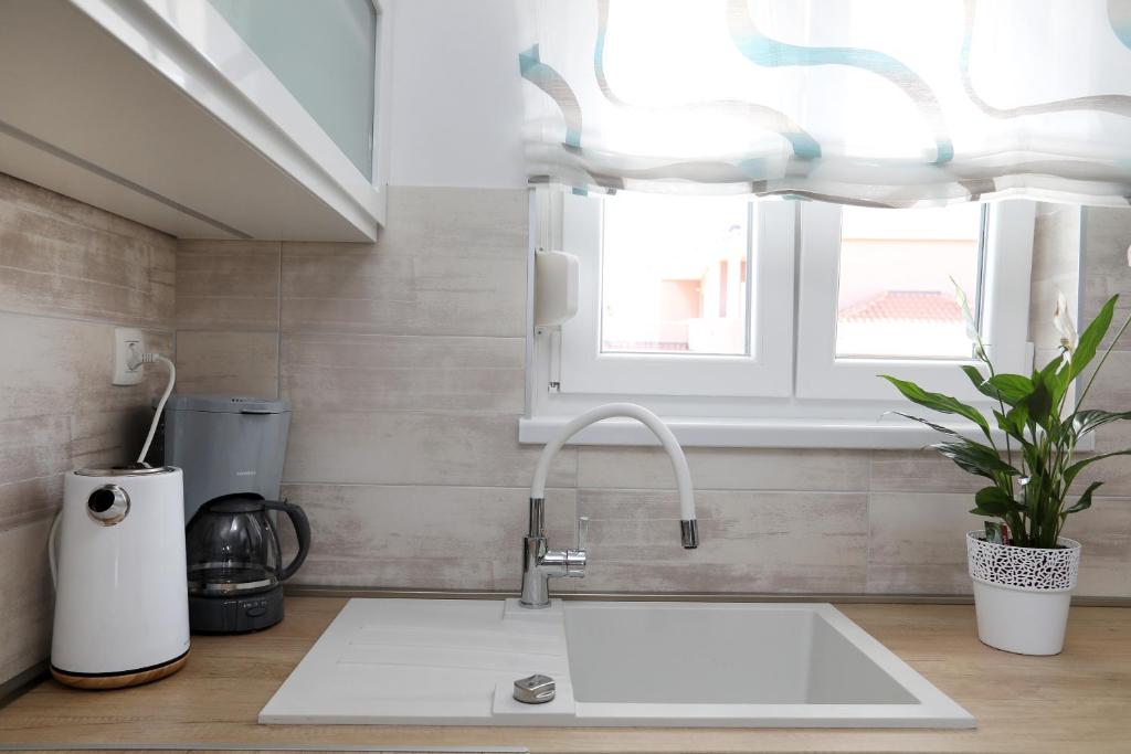 Kuchyň nebo kuchyňský kout v ubytování Apartment Little Marijeta