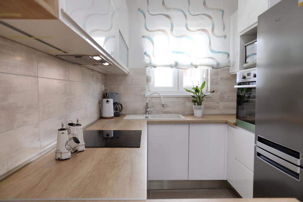 Kuchyň nebo kuchyňský kout v ubytování Apartment Little Marijeta