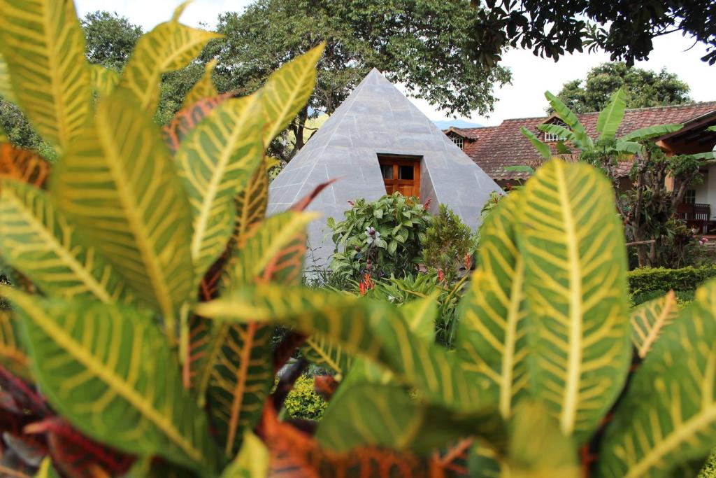 a house with a triangular window in a garden at Hostería Paraíso in Vilcabamba