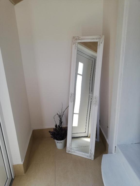 einen Spiegel in einem Zimmer mit Topfpflanze in der Unterkunft Apartman JulRich in Vrbov