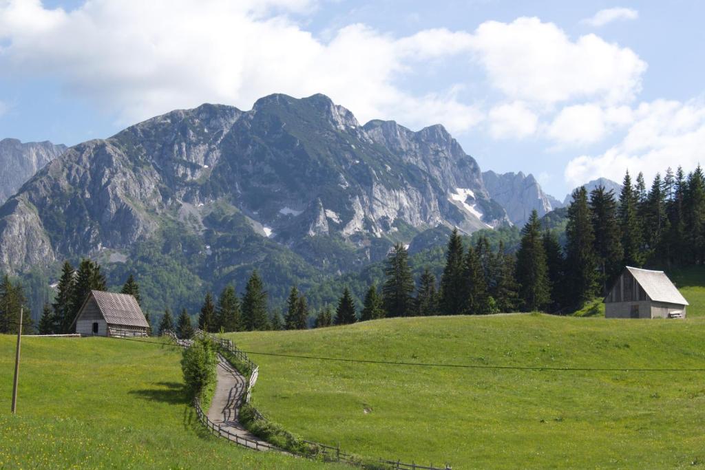 Paesaggio naturale nelle vicinanze dello chalet