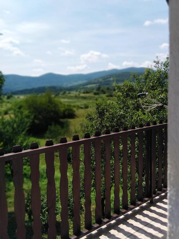 Príroda v okolí penziónu