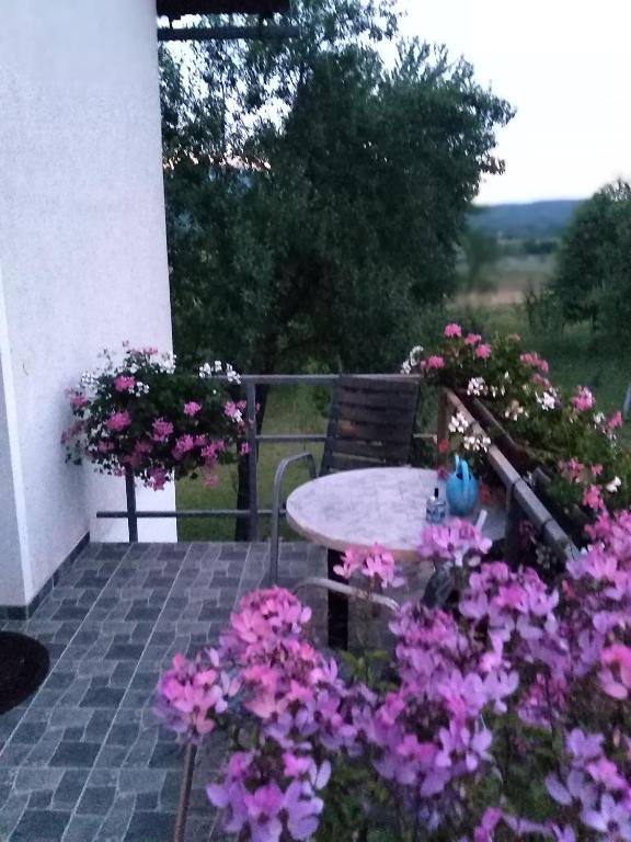 Vonkajšia záhrada v ubytovaní Guest House First Stop