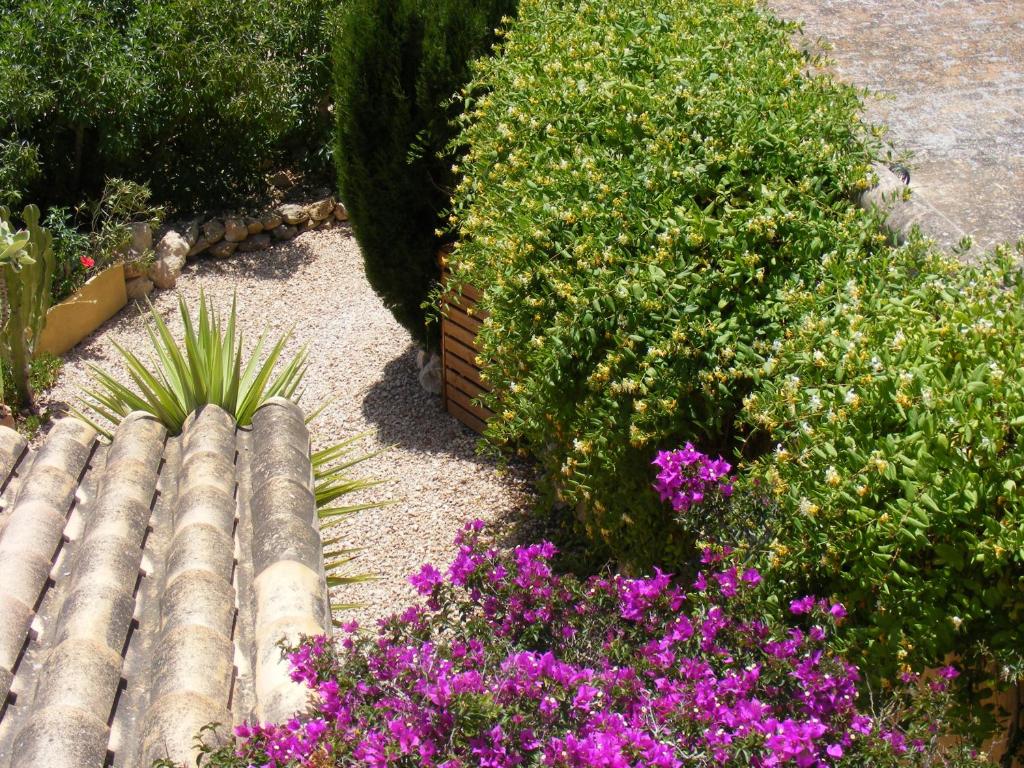 Fotografie z fotogalerie ubytování Sol Y Brisa v destinaci Sant Francesc Xavier