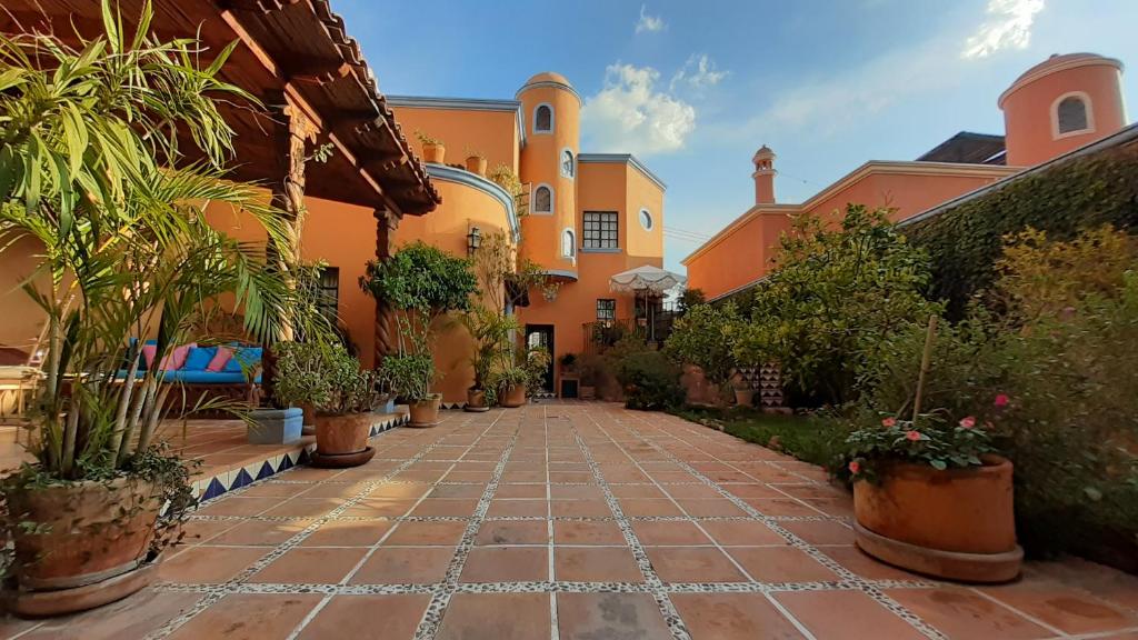 聖米格爾－德阿連德的住宿－弗里達住宿加早餐旅館，一座种植盆栽植物的建筑的庭院