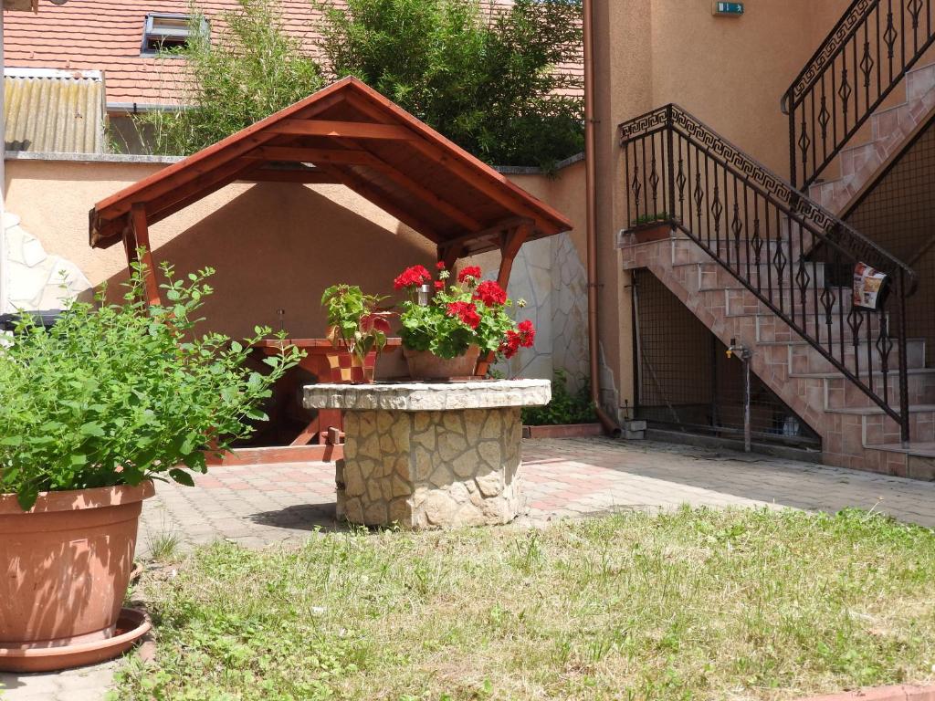Zahrada ubytování Kotyogó Apartmanok, Bogács