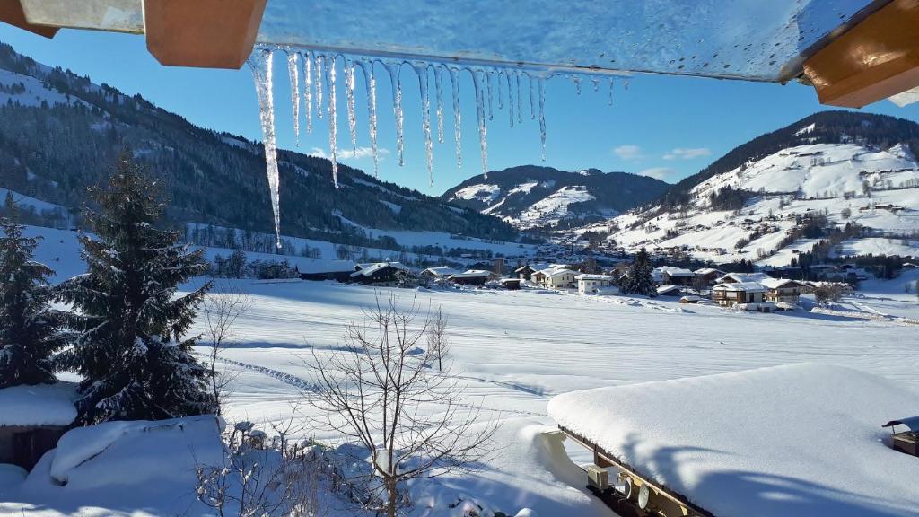 Príroda v okolí apartmánu