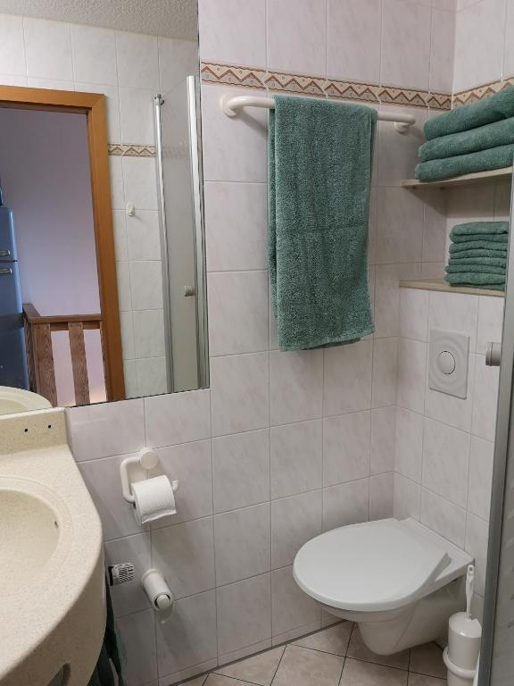 Koupelna v ubytování Waldwipfel-Appartement