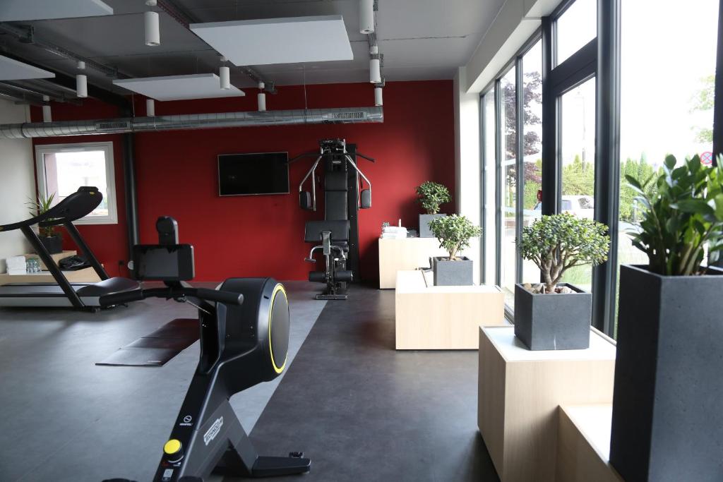 Fitness centrum a/nebo fitness zařízení v ubytování ibis Styles Bâle-Mulhouse Aéroport