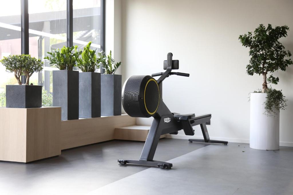 Fitness centrum a/nebo fitness zařízení v ubytování ibis Styles Bâle-Mulhouse Aéroport