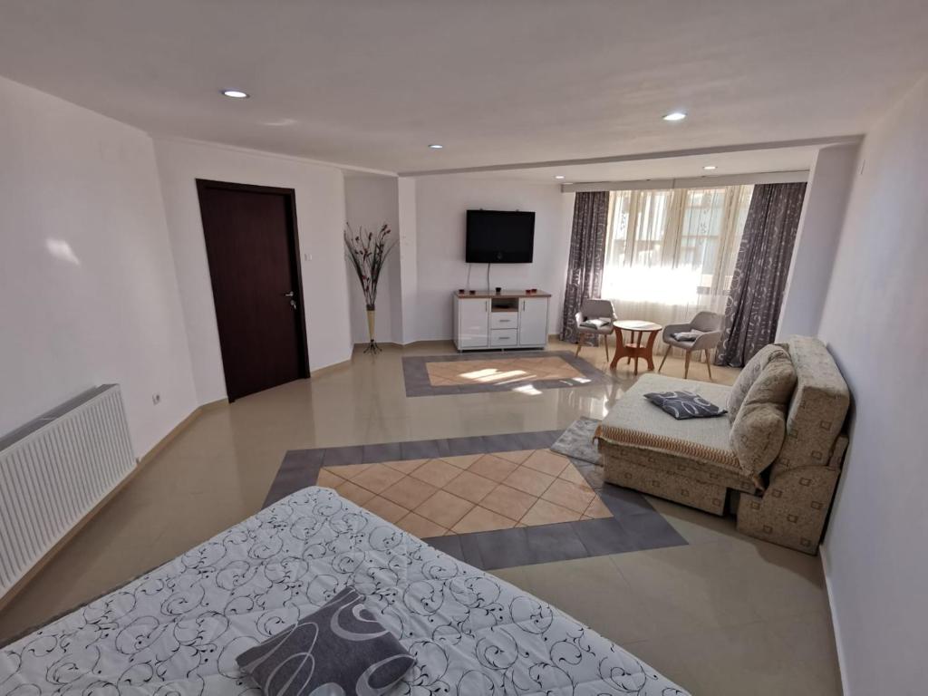 a living room with a bed and a couch at Apartament Catia in Călimăneşti