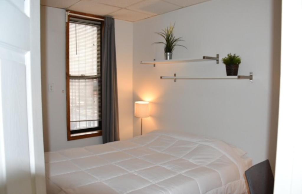 Comfortable 1 Bedroom Gem in Chinatown Lil Italy