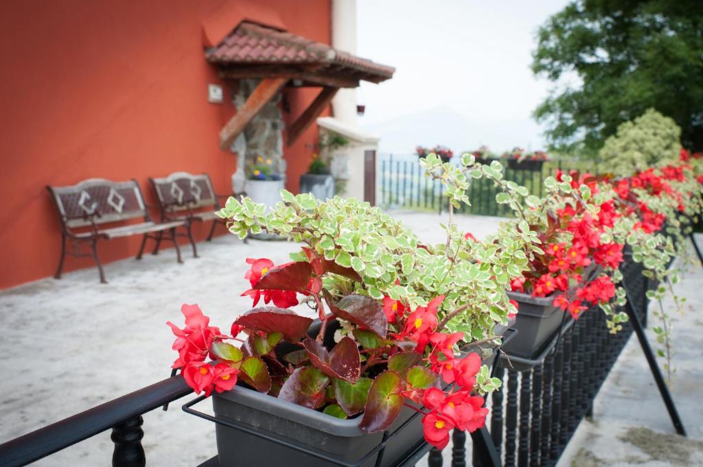 Zahrada ubytování Agroturismo Artola