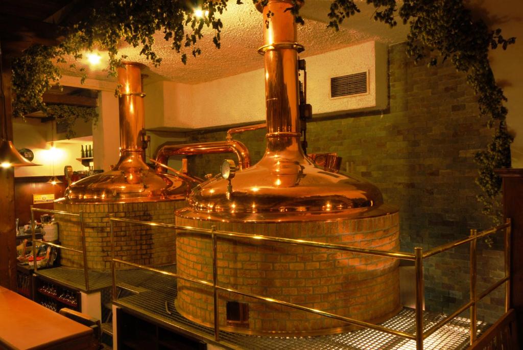 Hotel Pegas Brno - Resim 18