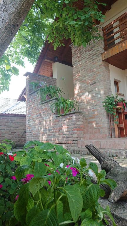 Zdjęcie z galerii obiektu Ágnes Apartman w mieście Kaposvár