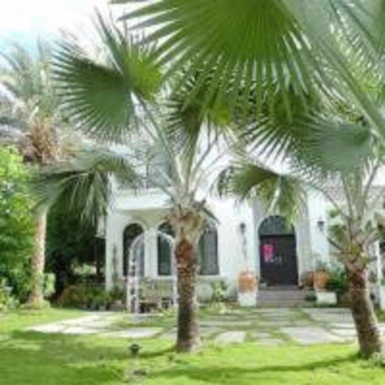 a house with two palm trees in front of it at Hasayaki Homestay in Dayi