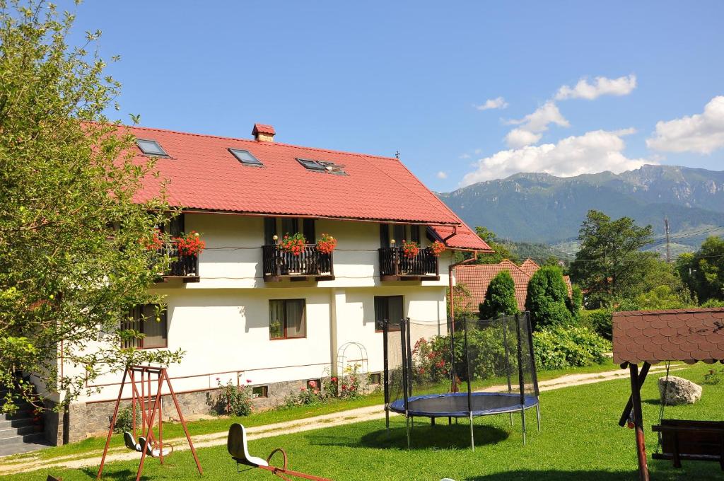 a house with a playground in the yard at PEL FLORA in Bran
