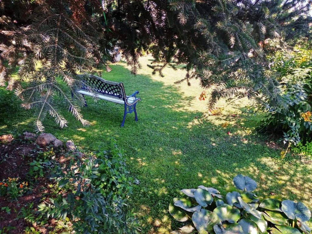 Zahrada ubytování Villa Axiothea