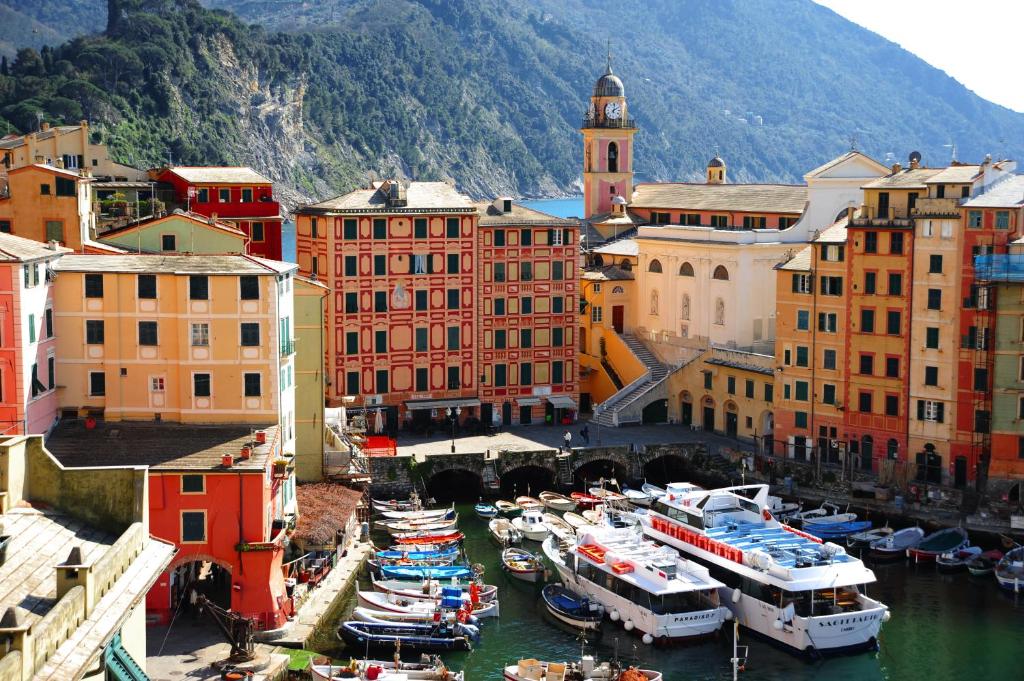 a group of boats are docked in a harbor at La mansarda sul Porto in Camogli