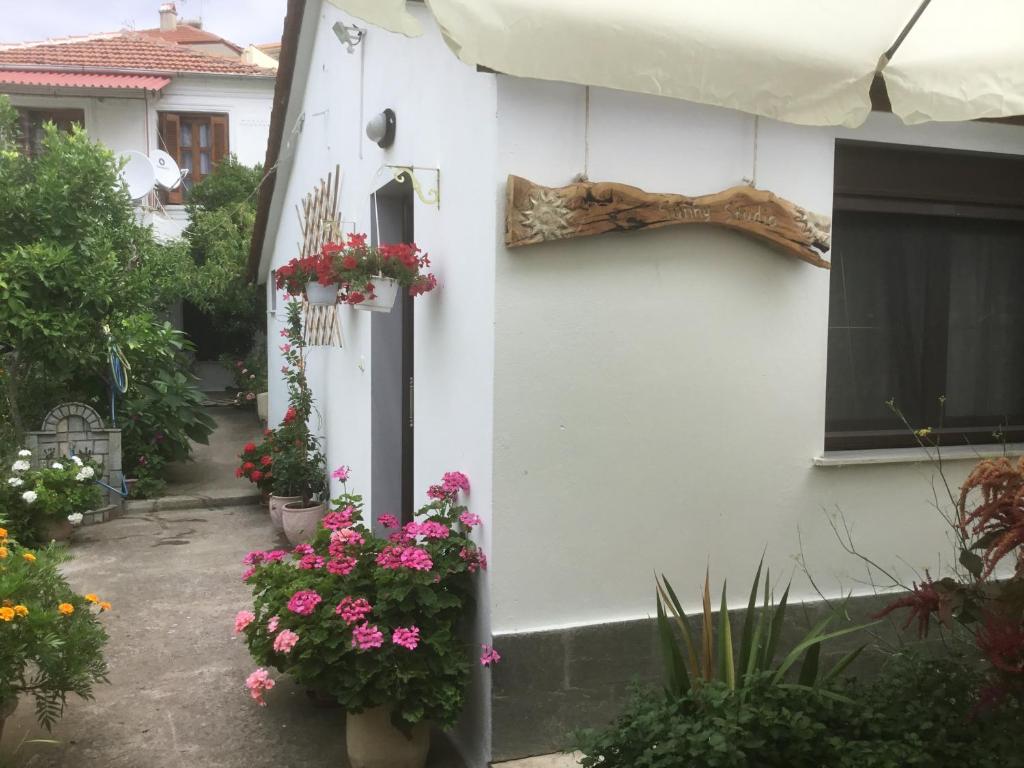 A garden outside SUNNY STUDIO