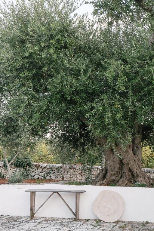 Κήπος έξω από το Pietra Pesara