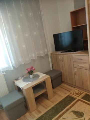 TV a/nebo společenská místnost v ubytování Ubytovanie u Vlasty