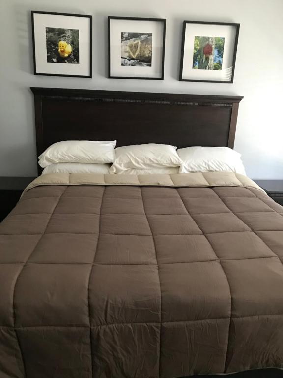 מיטה או מיטות בחדר ב-The Sunview Motel