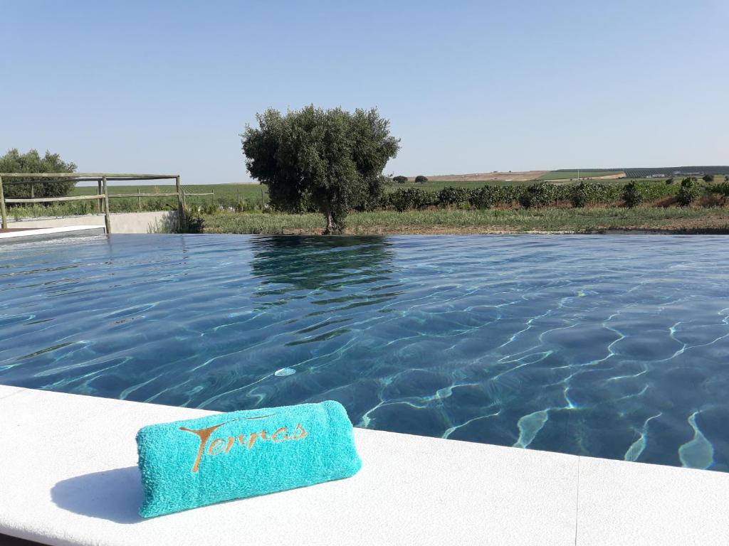 a swimming pool with a blue sponge in the water at Terras - Agroturismo & Vinhos in Beja