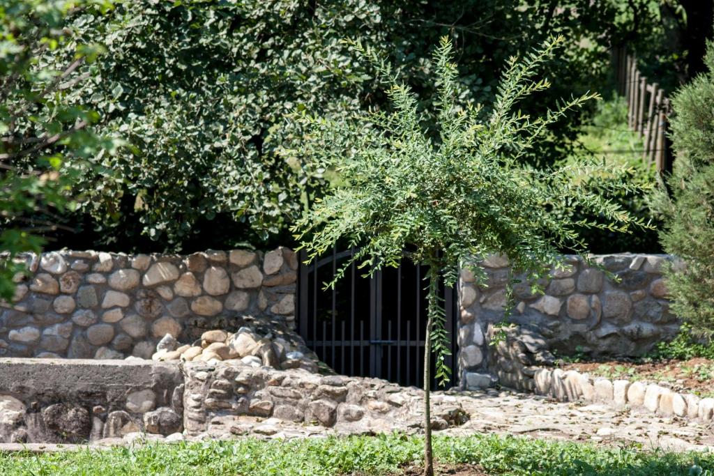 Zahrada ubytování Guesthouse Silvani