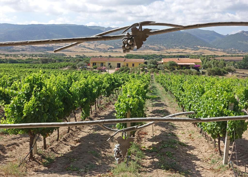 Aglientu – Photos 4