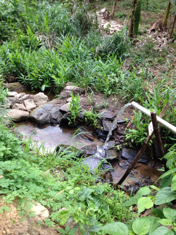 Chalé Suíço Belo Monte  Chalé Suíço Belo Monte