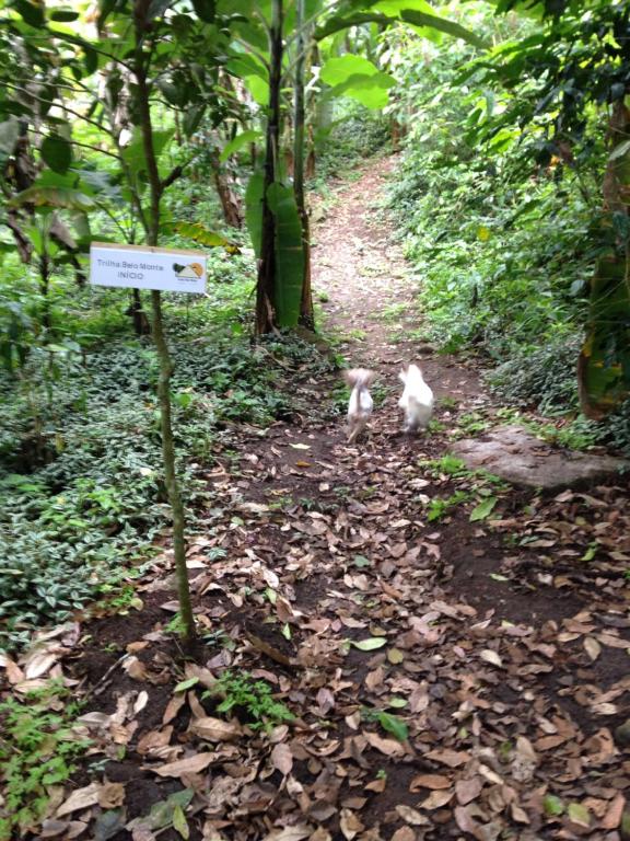 Chalé Suíço Belo Monte  Chalé Suíço Belo Monte