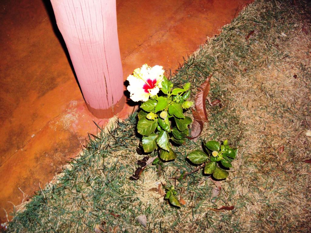  Sitio Sao Benedito