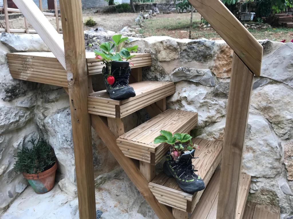 Zahrada ubytování Casa das Raposas