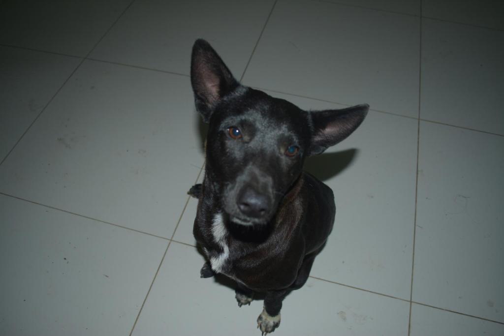  Pousada Santo Antônio