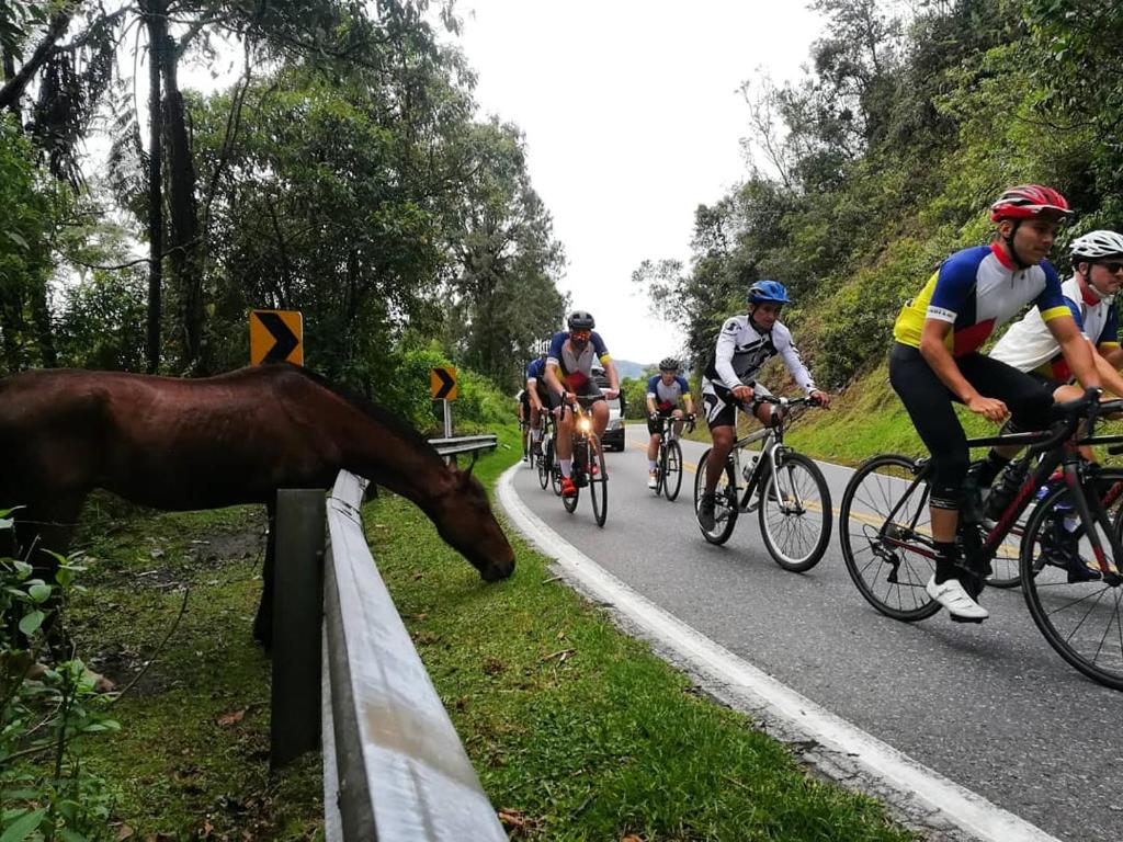Casa Du Vélo
