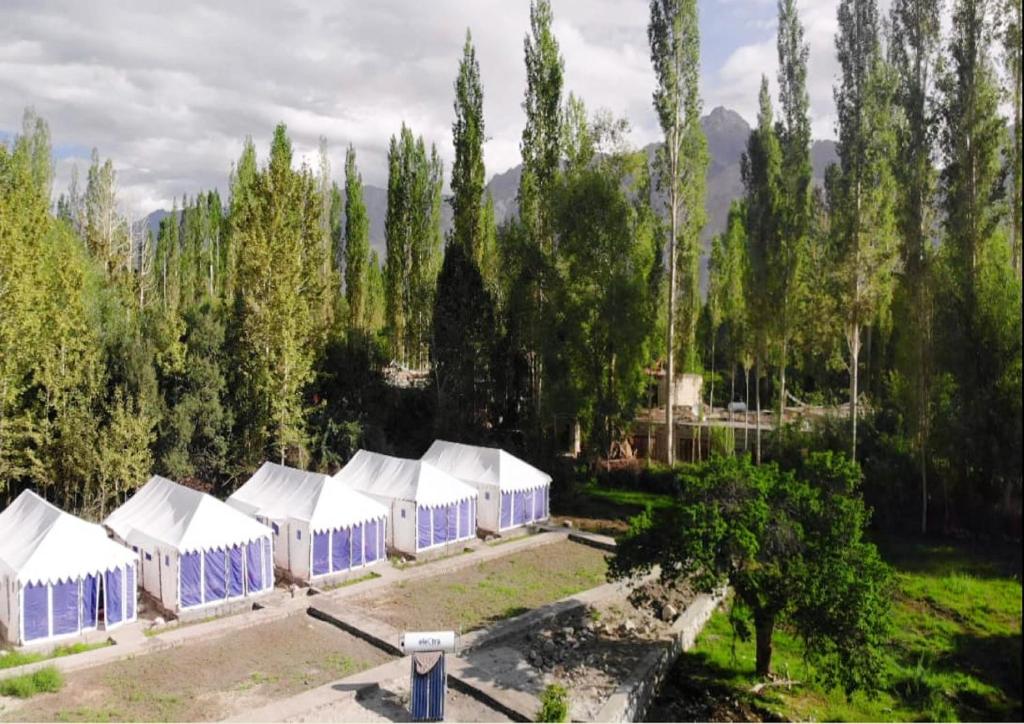 a row of blue and white tents in a field at Julley World Camp in Nubra
