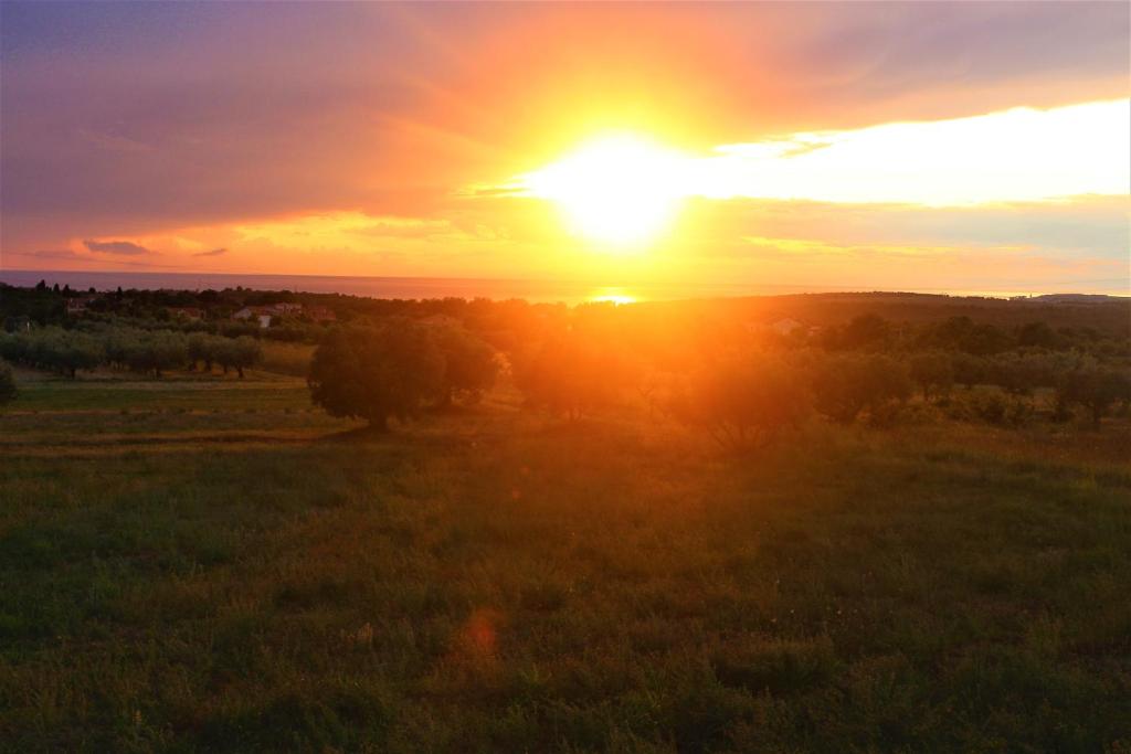 zachód słońca na polu ze słońcem na niebie w obiekcie Horizont Apartman w mieście Kukci