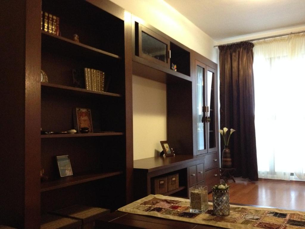 a living room with black shelves and a window at STUDIO RESIDENCE PLANORAMA in Bucharest