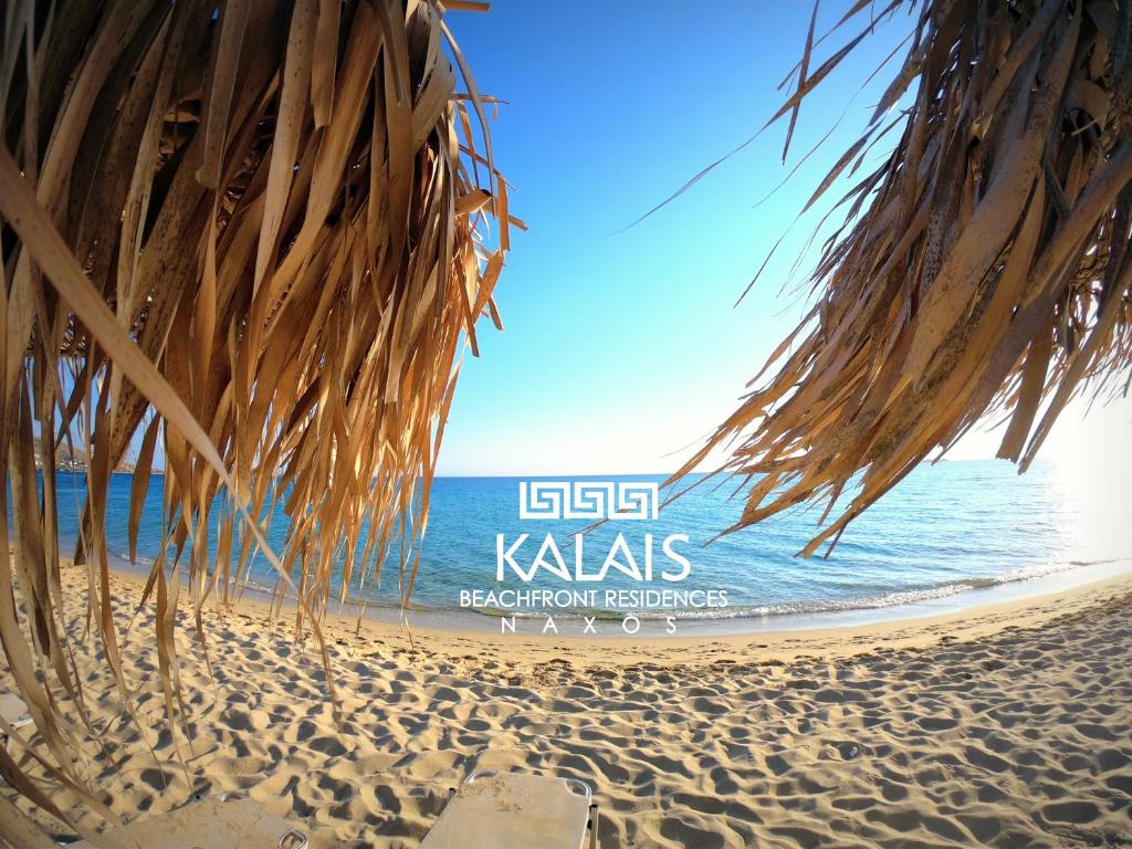 a view of a beach with the ocean in the background at Elysium Beachfront Residences by kalais - A 10 Minute Drive Away From Naxos Town in Plaka