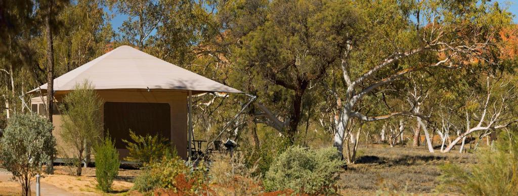 a gazebo in the middle of a field with trees at Squeakywindmill Boutique Tent B&B in Alice Springs