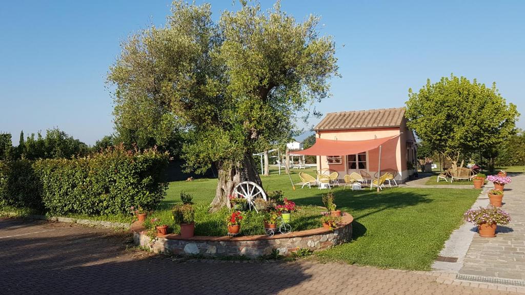 A garden outside Casal Sant'Elena