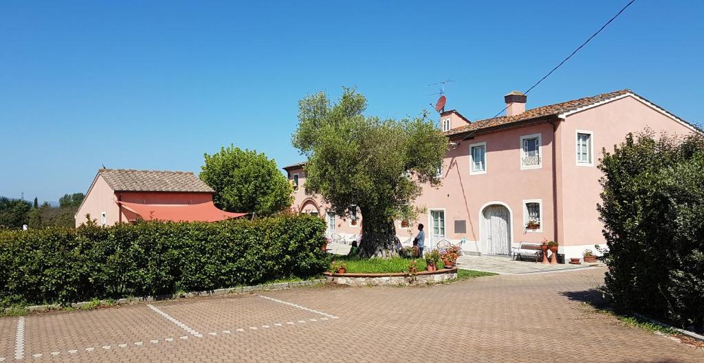 The building in which a panziókat is located