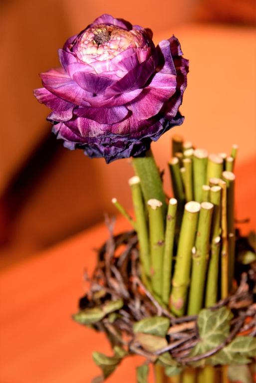 Hotel am Spisertor - Resim 13